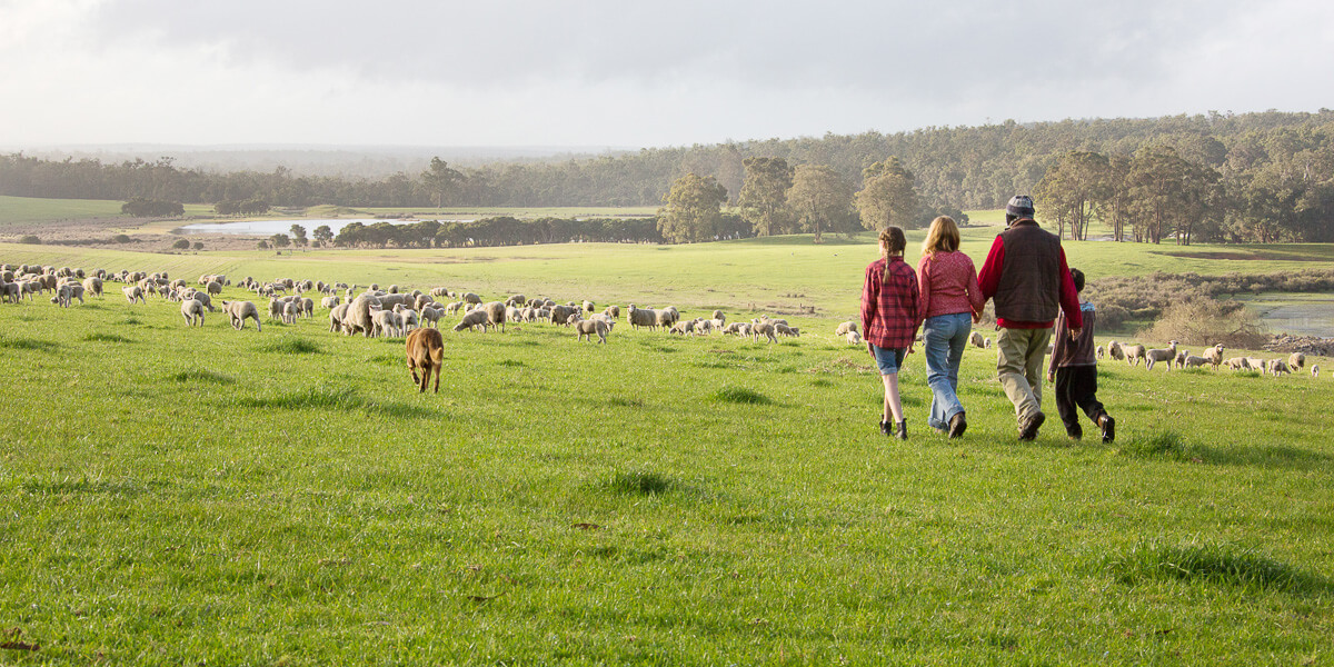 Our Farms Twin Lakes